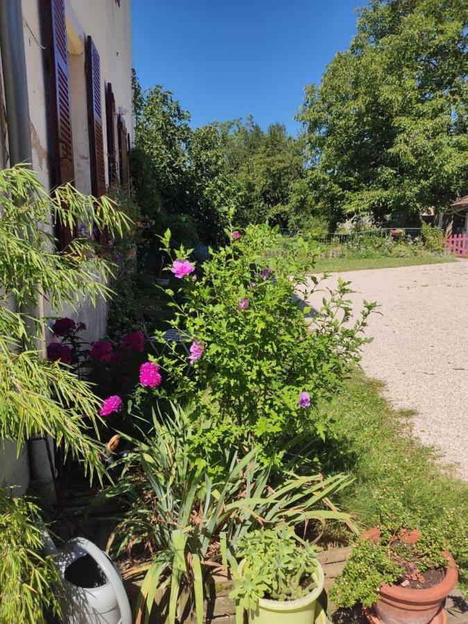 Chanay 80 M2 2 Apartment